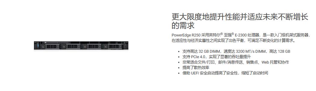 PowerEdge R250 机架式服务器